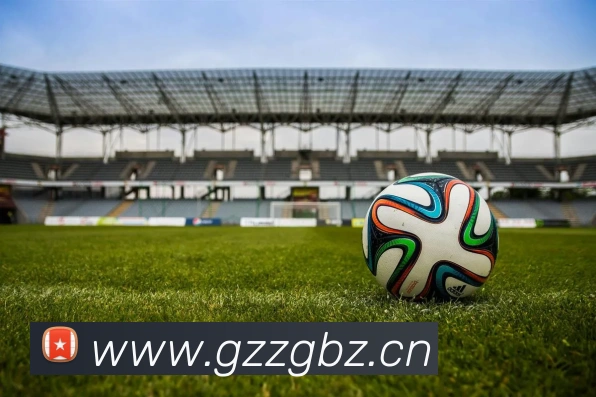 环球体育精英中心服务体系